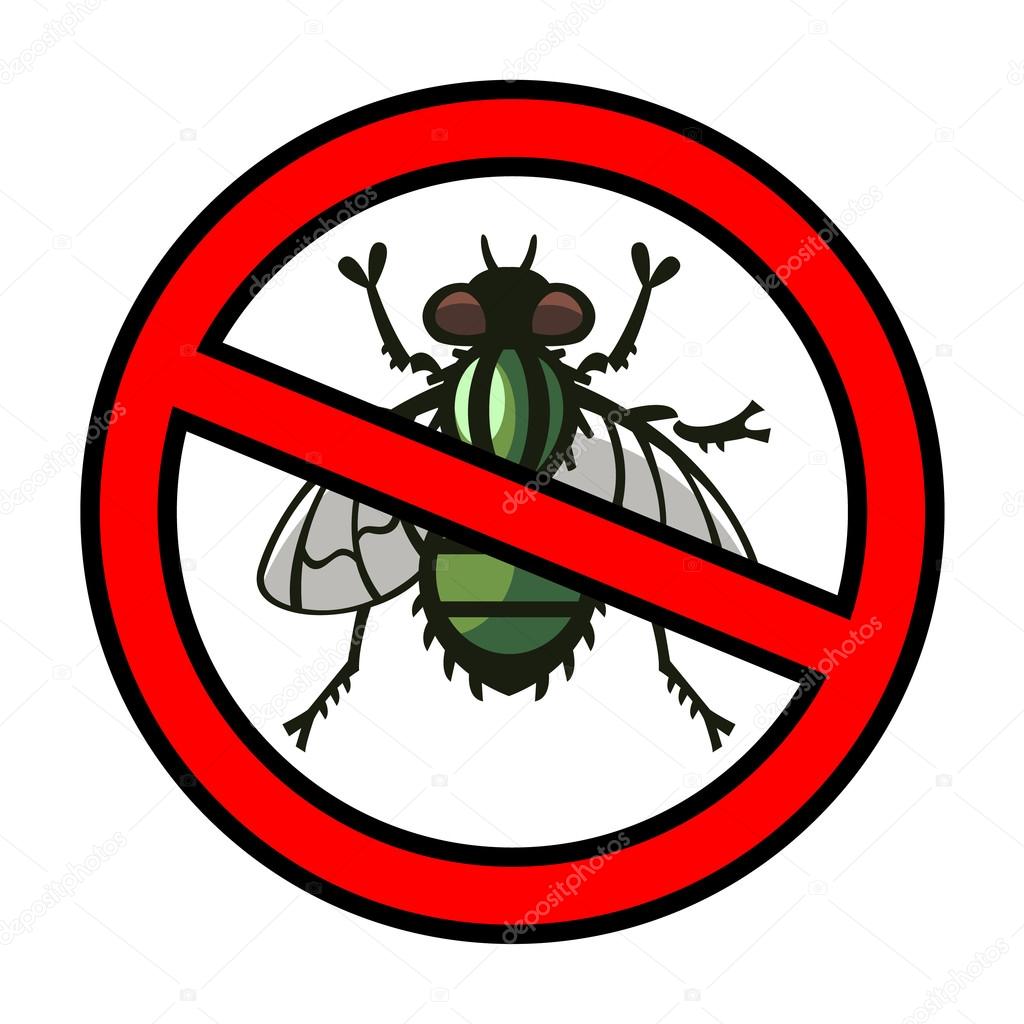fly parasite illustration