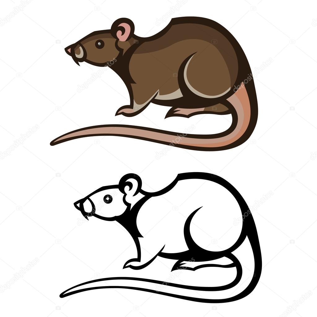 Rat pest vector drawing home parasite - set of household pests in pure style