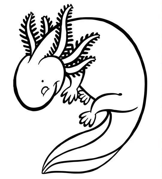 Mexicanum axolotl - dierlijke illustratie — Stockvector