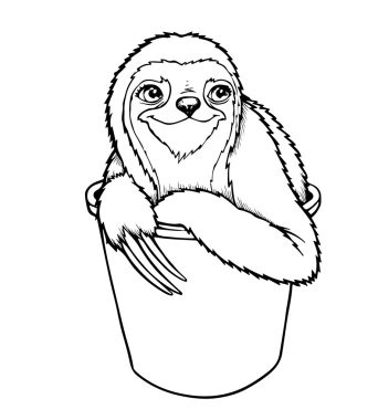 Three-toed sloth hand drawing clipart
