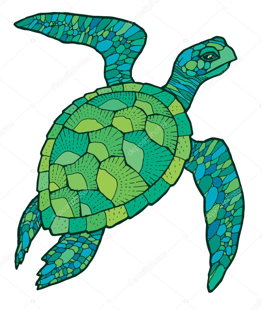 sea turtle - vector stylized drawing