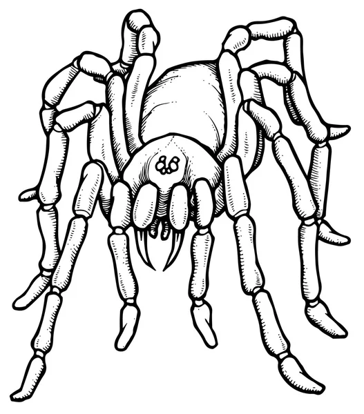 Caricatura estilizada araña tarántula azul — Vector de stock