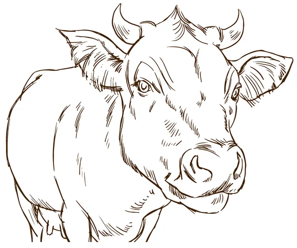 Vaca naturalista lindo — Vector de stock