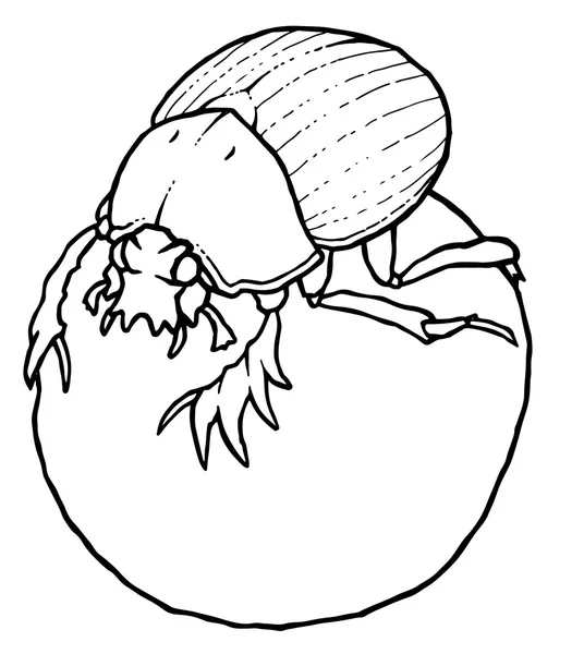 Escarabajo en una pelota — Archivo Imágenes Vectoriales