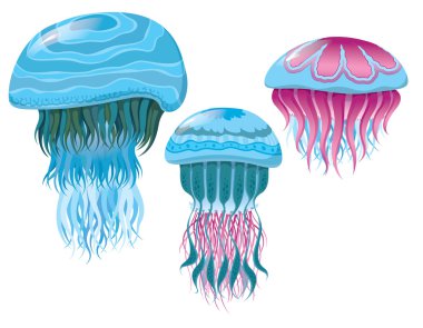 çeşitli fantastik jellyfishes