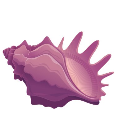 renkli sevimli deniz kabuğu