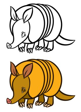 Armadillolar el çekilmiş