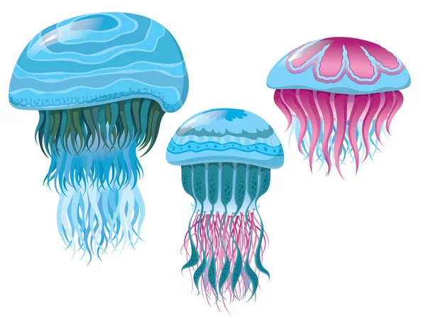 Różne fantastyczne jellyfishes — Wektor stockowy