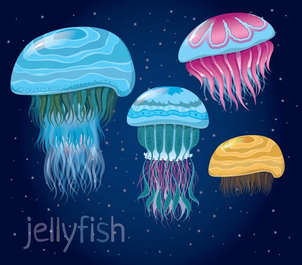 Various fantastic jellyfishes — Stock Vector