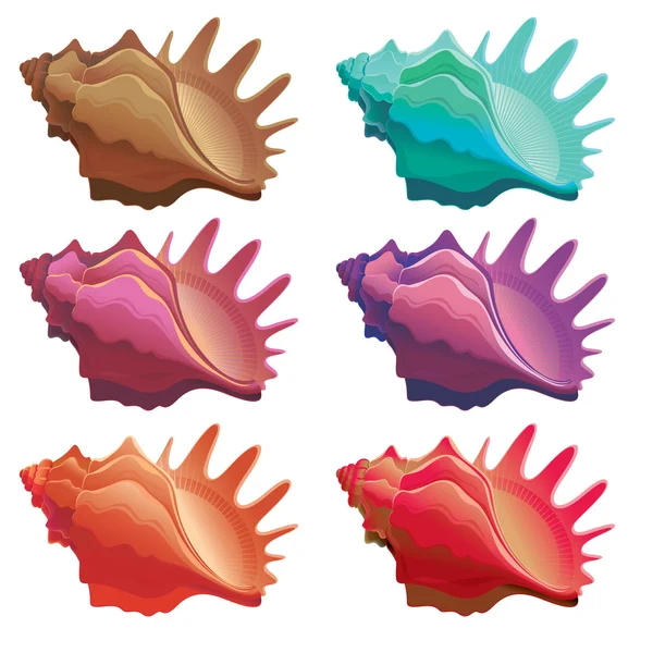 Gyűjtemény a különböző színes tengeri kagylókból — Stock Vector