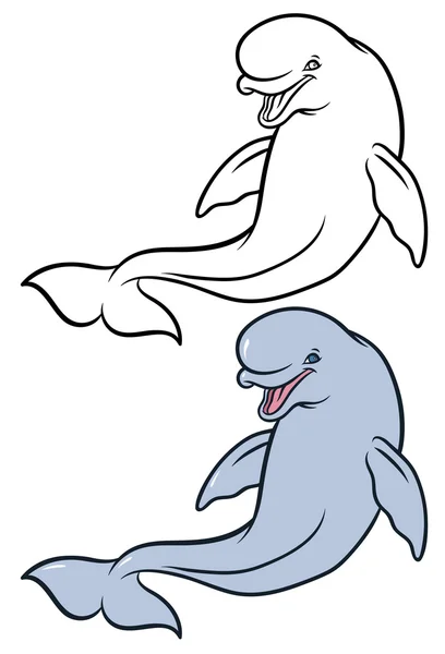 Felices Ballenas Beluga sonrientes — Archivo Imágenes Vectoriales