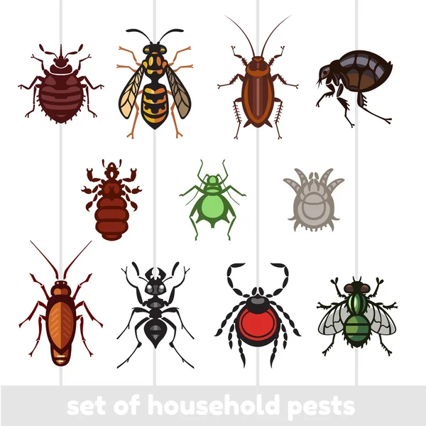 Set of household pests in pure style — Stock Vector