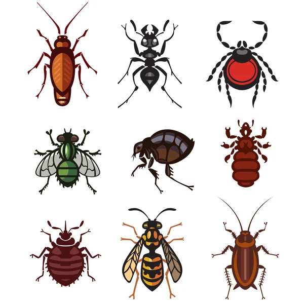 Set of household pests in pure style — Stock Vector