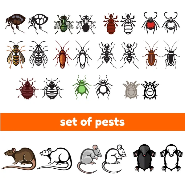 Set of household pests in pure style — Stock Vector