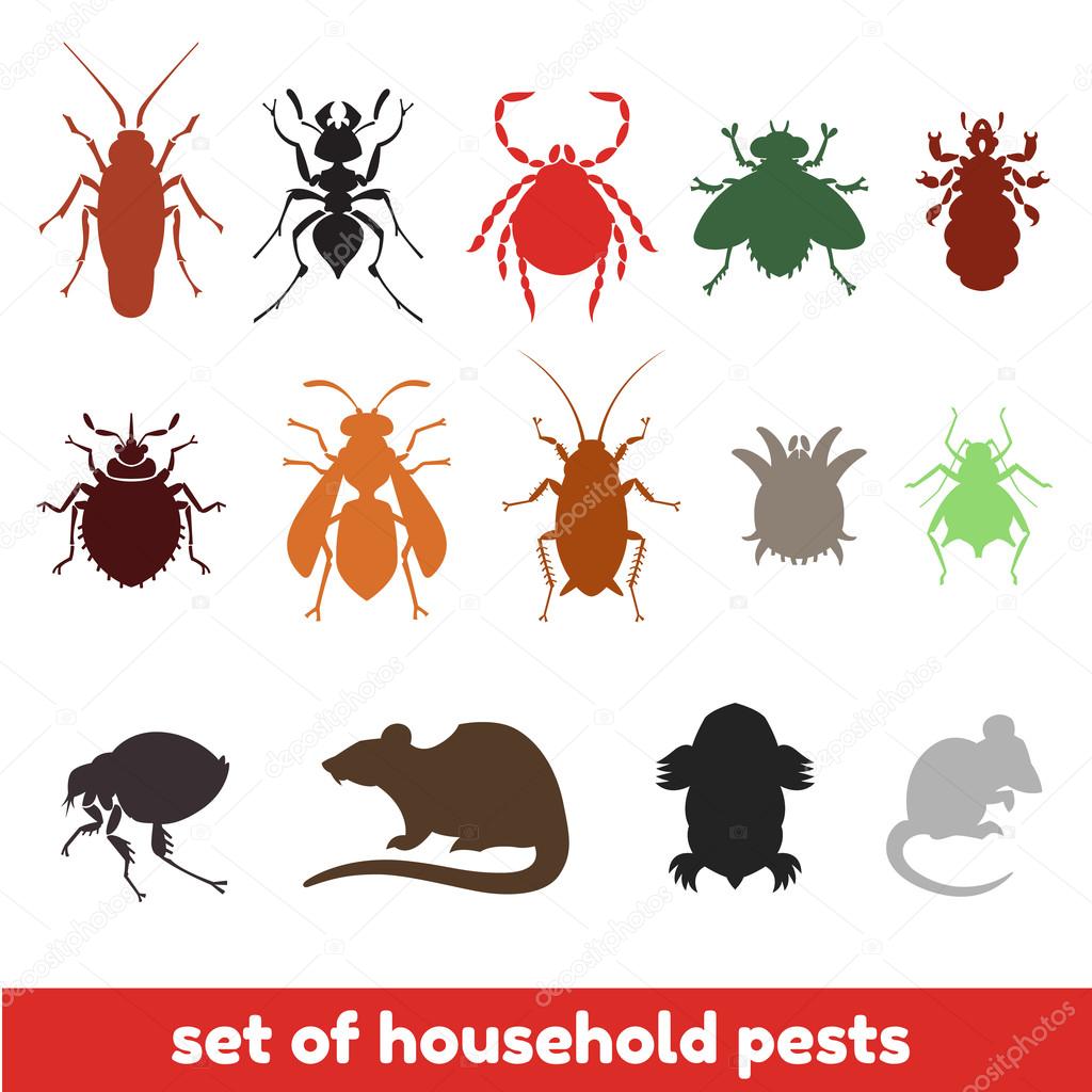 set of household pests in pure style
