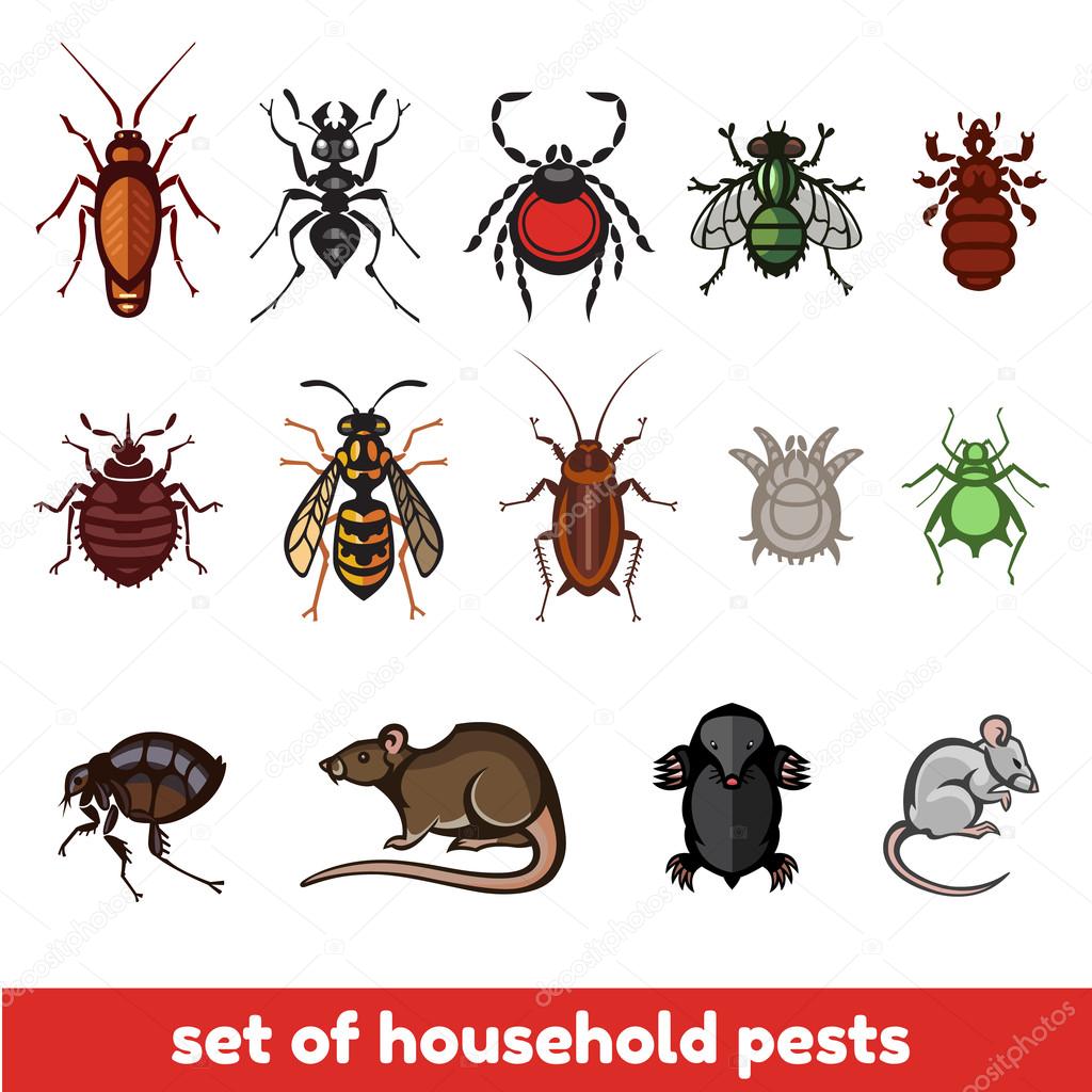 set of household pests in pure style