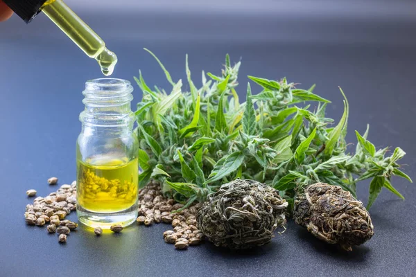 Hands are dripping oil in a glass bottle Researchers are researching hemp oil The concept of adopting technology for alternative and recreational medical marijuana research.