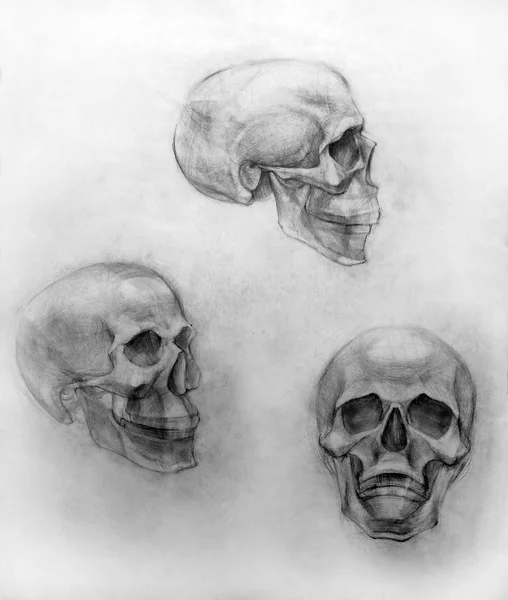 Akademik çizim kalem 