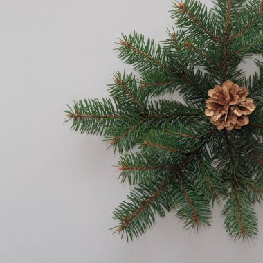 Köknar dalları ve koni ile Noel kompozisyonu