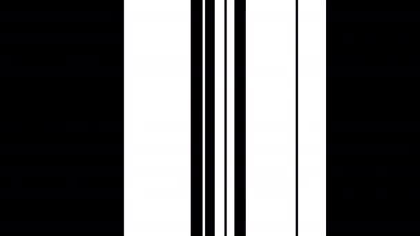 Abstract Zwart Witte Achtergrond Met Lusanimatie Van Verticale Lijnen Strepen — Stockvideo