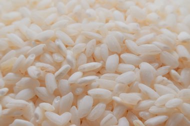 Pişmemiş pirinç tanelerinin Macro shot 'ı. Sığ odak