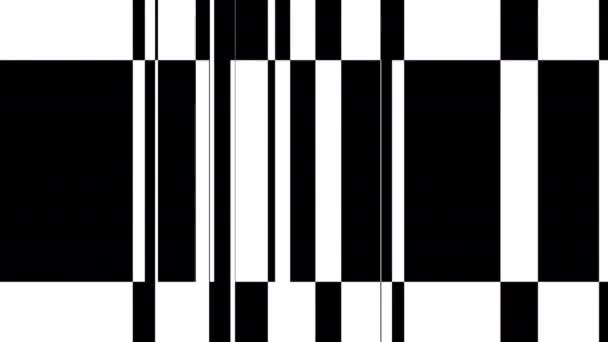 Animación Fondo Bucle Dinámico Abstracto Rayas Líneas Verticales Blanco Negro — Vídeos de Stock