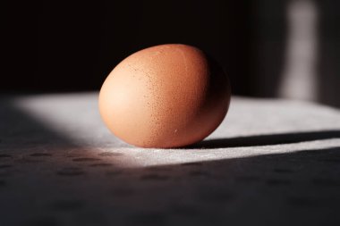 Masada sert gölgeli kahverengi yumurta. Yaratıcı asgari Paskalya geleneği