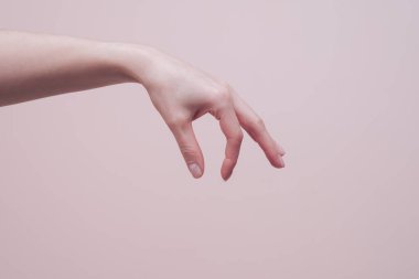 Elinde bir şey tutan kadın el hareketi. El işaretleri iletişim konsepti