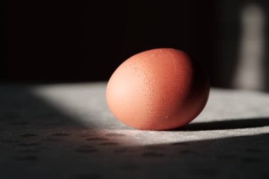 Masada sert gölgeli kahverengi yumurta. Kopya alanı ile yaratıcı Paskalya geleneği kavramı