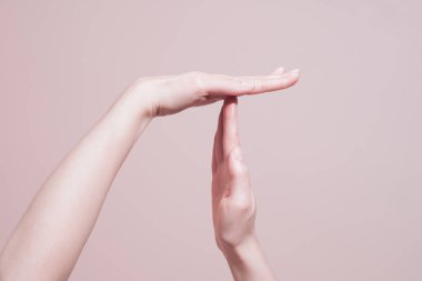Durdur ya da kır zaman el hareketi. El işaretleri iletişim konsepti