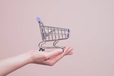 Küçük boş alışveriş arabasını tutan kadın elleri. Kopya alanı ile ticaret ve perakende kavramı