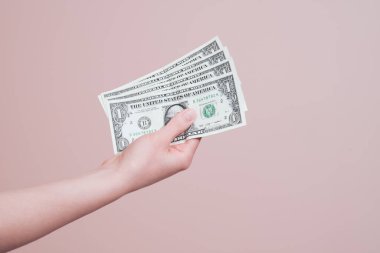 Dolar banknotlarını tutan bir kadın. Kişisel finans yatırım kavramı