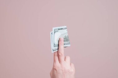 El ele tutuşan dolar banknotları. Kopya alanı ile para ve finans kavramı