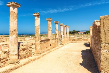 Tapınağın sütun. Kato Pafos 