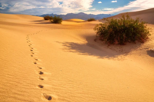 Pegadas na areia em dunas, Vale da Morte, Califórnia — Fotografia de Stock