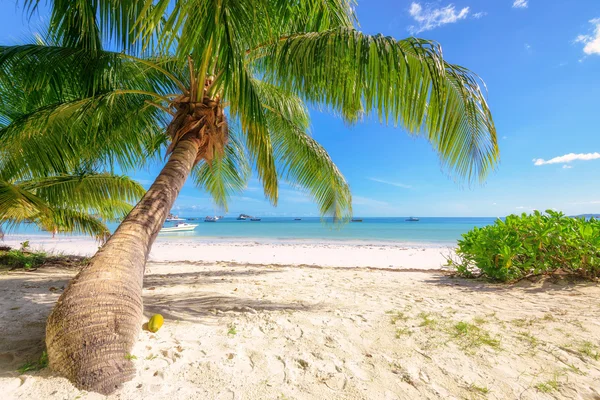 Strand van Anse Lazio bij Praslin, Seychellen — Stockfoto