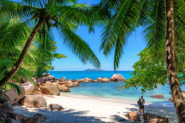 Seyşel Adaları tropikal plaj. Praslin
