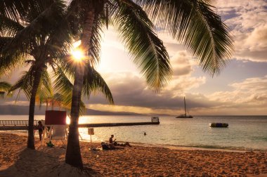 Sunset on the beach in Jamaica with tall palm tree on Caribbean sea