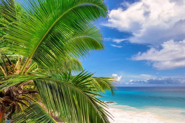 Amazing tropical beach — Stock Photo, Image