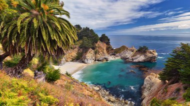 California beach Big Sur adlı