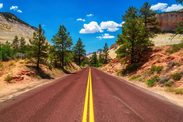 Scenic drive in Zion national park — Stock Photo, Image