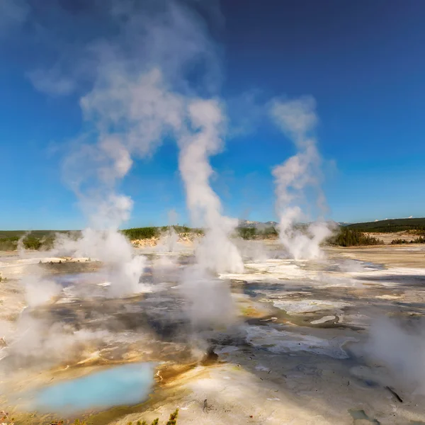 Gejsrar Valley i Norris Geyser Basin en solig dag — Stockfoto