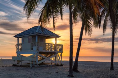 Güney sahilinde palmiye ağaçları Miami Beach, Florida 'da gün doğumunda. 