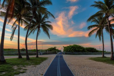 Güney sahilinde palmiye ağaçları Miami Beach, Florida 'da gün doğumunda. 