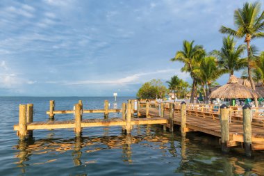 Florida Keys 'te tropik bir sahilde palmiye ağaçları.