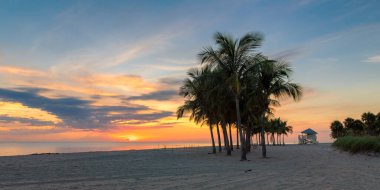 Güney sahilinde palmiye ağaçları Miami Beach, Florida 'da gün doğumunda. 