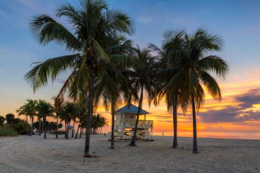 Güney sahilinde palmiye ağaçları Miami Beach, Florida 'da gün doğumunda. 