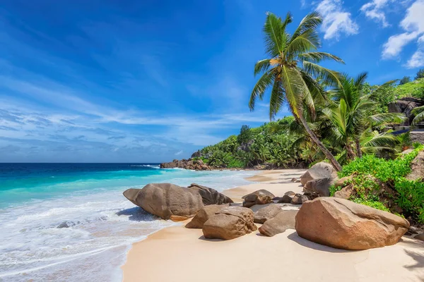 Trópusi Napos Strand Kókuszpálmák Seychelle Szigeteken Nyári Vakáció Trópusi Strand — Stock Fotó