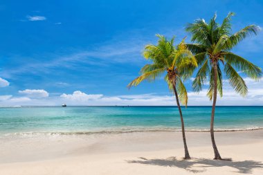 Karayip güneşli sahillerinde Coco palmiyeleri ve Jamaika cennet adasında turkuaz deniz. Yaz tatili ve tropikal plaj konsepti.