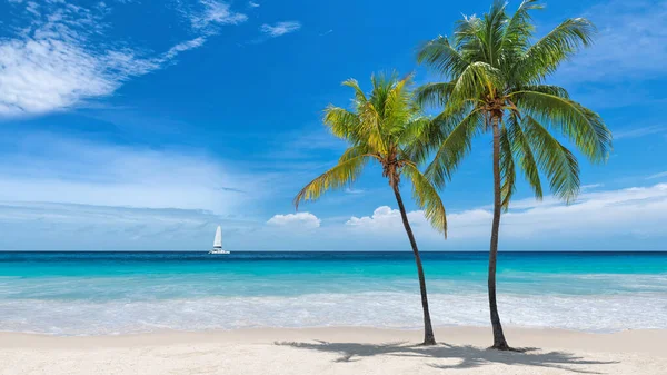 Hermosa Playa Arena Con Palmeras Velero Mar Turquesa Jamaica Paradise — Foto de Stock